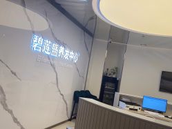 -碧莲盛·脱发养发中心