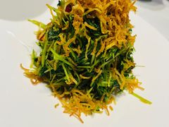 巧拌豆苗-四季民福烤鸭店(王府井东安门店)