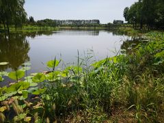 -东郊湿地公园