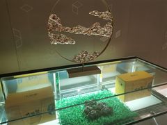 -桃花源中餐厅(金茂豪华精选酒店)