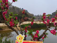 -南国桃园旅游度假区