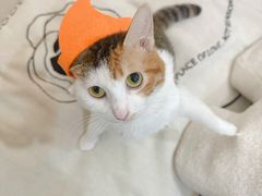 -星巴克臻选(莘庄仲盛店)