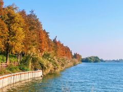 -鹤之洲湿地公园