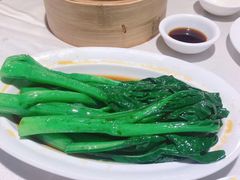 -金茂园大酒店