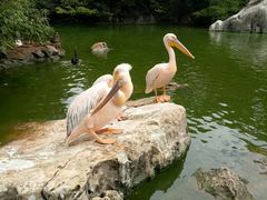 -昆明动物园