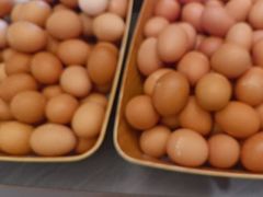 -牛YO寿喜烧·铁板烧和牛火锅自助(市府恒隆店)