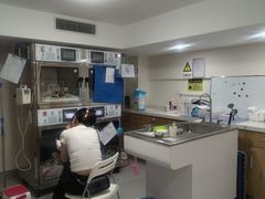 -艾贝尔宠物医院·24H转诊中心·肿瘤猫专科(江宁双龙店)