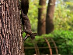 -国家植物园南园