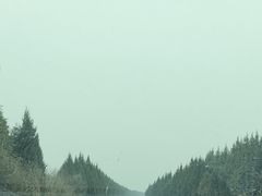 -法门文化景区