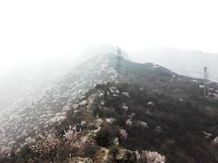 -北京鹫峰国家森林公园