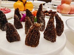 羊肚菌-鑫港胜牛氏辈养生火锅(经开店)