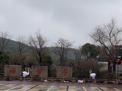 -香雪海
