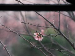 -小南山公园