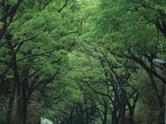-白塘生态植物园