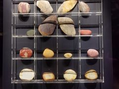 -金沙遗址博物馆