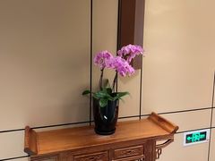 -洋洋中餐馆·SINCE 1997(信投店)
