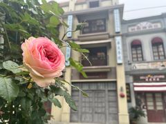 -奔跑吧乐园
