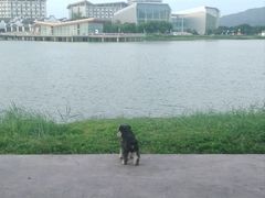 -琅岐红光湖公园