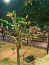 -酷嗒动物文化乐园(cutezoo西溪乐天城店)