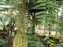 -国家植物园南园