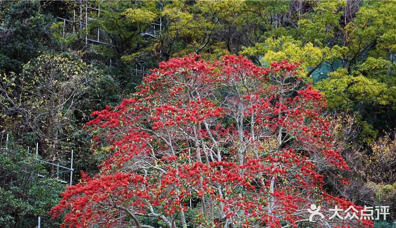 潭水深20m，清澈无比