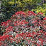 潭水深20m，清澈无比