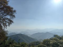-天目山大树王景区