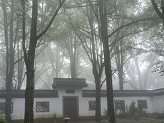 -西湖风景区十里琅珰-五云山