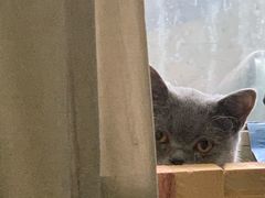 -北京恒爱动物医院(清景园分院)