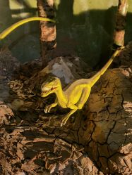 -恐龙探索乐园(磁器口店)