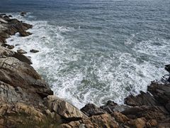 -广东惠东海龟国家级自然保护区