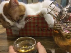 -小时光咖啡馆(开森度假森林店)