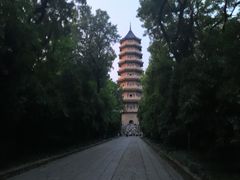 -灵谷景区