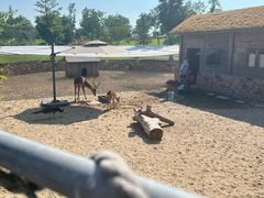 -上海佘山国家森林公园天马山园