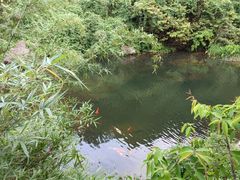 -马峦山郊野公园
