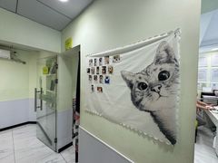 -艾吉宠物医院·疑难杂症转诊中心·猫友好(碧江路院)