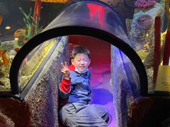 -沈阳海洋探索中心