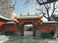 -护国法轮寺