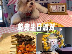 -百好乐宠物友好餐厅(朝外大街店)