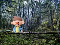 -五营红松林海景区