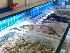 -阿胖龙虾(罍街店)