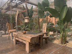 -桉树林A coffee 森林餐厅(三圣乡店)