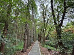 -同里国家湿地公园