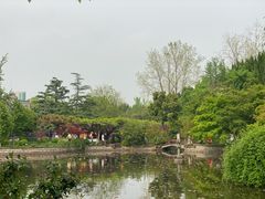-嘉定紫藤园