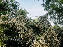 -河北省园博园