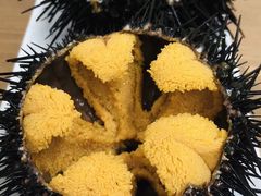 -海胆小馆(东北水饺·春柳店)