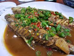 -全乐鱼馆·淳牌有机鱼直营店