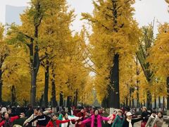 -百林公园-两江幸福广场