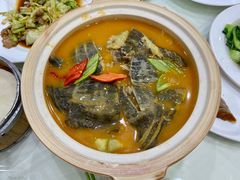潇湘红煨甲鱼-清华大学-观畴园餐厅