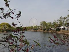 -无锡蠡湖国家湿地公园-蠡园